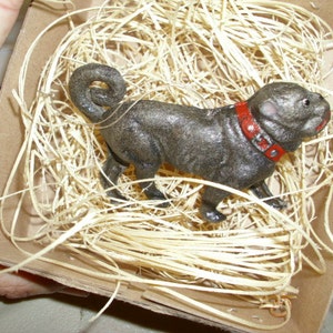 May include: A black cast iron figurine of a pug dog wearing a red collar with a silver buckle. The figurine is sitting in a nest of shredded paper.