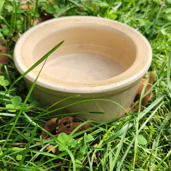 Vintage stoneware pet bowl