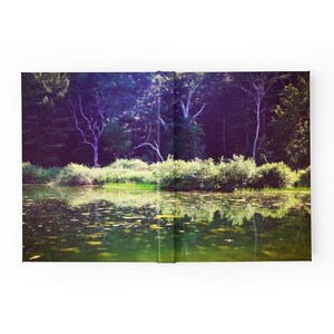 Hardcover Blank Book ~ Dark Swamp ~ Forest ~ Nature ~ Sketchbook ~ Graph Paper ~ Lined Notebook