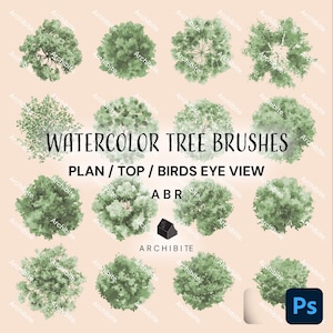 Op de afbeelding: Een digitale afbeelding met aquarel boompenselen in een plan-, bovenaanzicht- of vogelperspectief. De afbeelding bevat verschillende groene boomillustraties en de tekst "WATERCOLOR TREE BRUSHES" en "PLAN / TOP / BIRDS EYE VIEW".