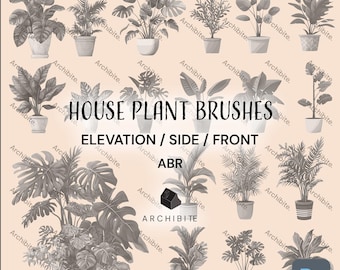 Photoshop Brushes - House Plants Elevation