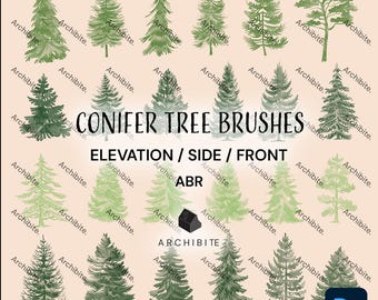 Photoshop Brushes - Conifer Tree Elevation