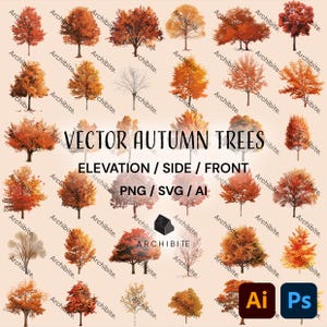 May include: A collection of 25 vector illustrations of autumn trees in various shades of orange, yellow, and red. The trees are shown in elevation, side, and front views. The text "VECTOR AUTUMN TREES" and "ELEVATION / SIDE / FRONT PNG / SVG / AI" is displayed in the center of the image. The text "ARCHIBITE" is displayed in the lower center of the image. The Adobe Illustrator and Photoshop logos are displayed in the lower right corner of the image.