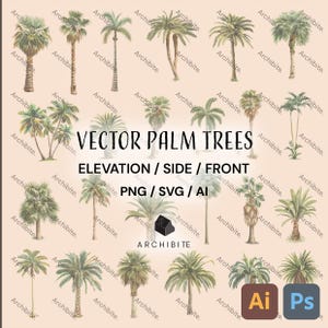 May include: A digital illustration set of 24 palm trees in various poses, including side, front, and elevation views. The trees are drawn in a vintage style with watercolor-like textures. The image includes the text "VECTOR PALM TREES", "ELEVATION / SIDE / FRONT", "PNG / SVG / AI", and "ARCHIBITE".