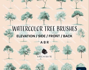 Photoshop Brushes - Watercolor Trees Elevation