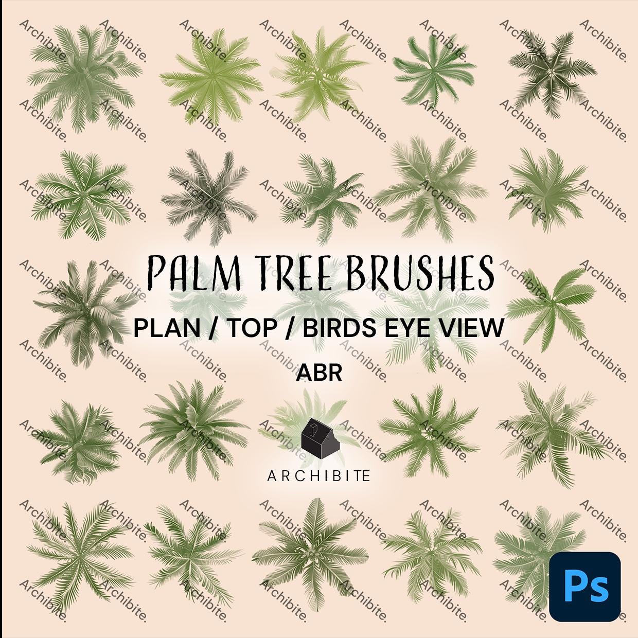 Photoshop Brushes - Palm Trees Plan