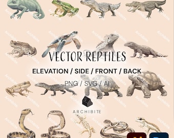 Vector Cutouts - Reptiles Elevation