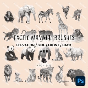 May include: A collection of grayscale illustrations of exotic mammals, including an elephant, zebra, giraffe, tiger, panda, lion, and leopard. The text "EXOTIC MAMMAL BRUSHES" is displayed above the animals, with "ELEVATION / SIDE / FRONT / BACK" below.