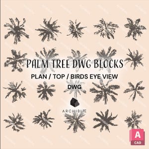 DWG - Palmen Plan