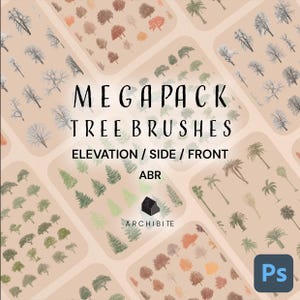 Può includere: Un'illustrazione digitale di una collezione di pennelli per alberi per Adobe Photoshop. L'immagine presenta una varietà di alberi in diverse stagioni e stili, tra cui palme, alberi sempreverdi e alberi decidui. Il testo "MEGAPACK TREE BRUSHES ELEVATION/SIDE/FRONT ABR ARCHIBITE" è visualizzato sull'immagine.