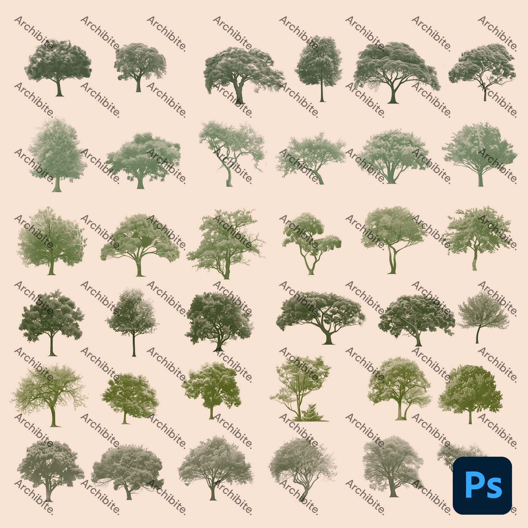 Photoshop Brushes - Summer Trees Elevation - Etsy