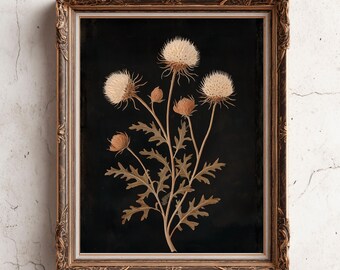 Moody Thistle Flower Print - Vintage Botanical Farmhouse Wall Art - Gothic Style Flowers