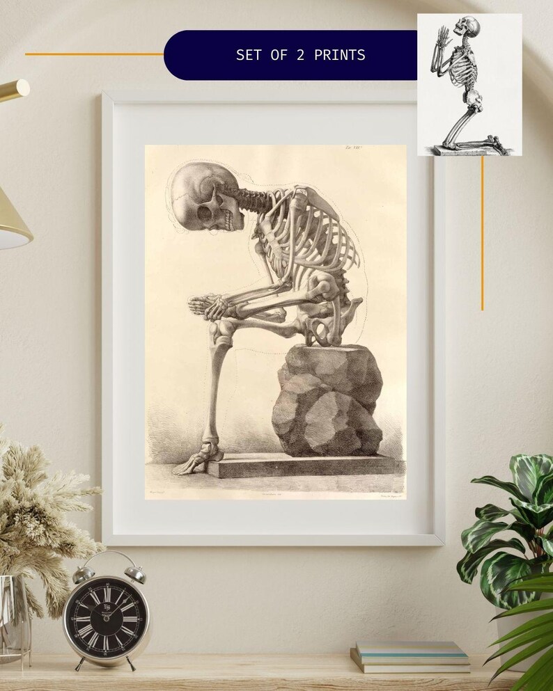 Może przedstawiać: Zestaw dw&oacute;ch oprawionych wydruk&oacute;w z szczeg&oacute;łowymi ilustracjami anatomicznymi ludzkich szkielet&oacute;w. Jeden wydruk przedstawia szkielet siedzący na skale, drugi klęczący szkielet w modlitwie. Wydruki są czarno-białe.