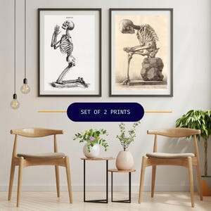 Może przedstawiać: Zestaw dw&oacute;ch oprawionych wydruk&oacute;w przedstawiających szczeg&oacute;łowe ilustracje anatomiczne szkielet&oacute;w. Jeden przedstawia klęczący szkielet ze splecionymi dłońmi, drugi siedzący szkielet. Wydruki są czarno-białe, w stylu vintage.