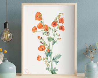 Botanical Flower Illustration Print