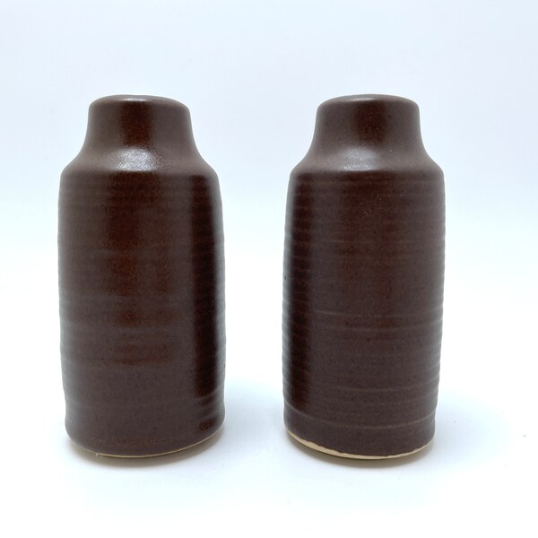 Vintage Denby Langley Mayflower Salt and Pepper Shakers Mid Century Stoneware Pottery Shakers hechos en Inglaterra Boho Decor