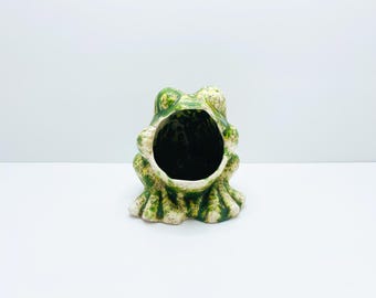 Vintage Ceramic Frog Sponge Holder: Retro Kitsch Kitchen Decor