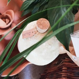 Può includere: Una bottiglia rotonda bianco sporco con un tappo di sughero e un cartellino del prezzo. La bottiglia è circondata da foglie verdi e un contenitore color terracotta. Il cartellino del prezzo indica "20.00".