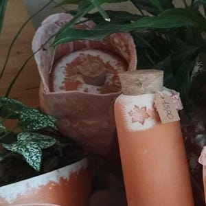 Può includere: Bottiglia in ceramica color terracotta con tappo in sughero e design floreale. Un'etichetta del prezzo è allegata. Altri vasi in terracotta e piante verdi sono sullo sfondo. La bottiglia è cilindrica e ha un design floreale bianco.