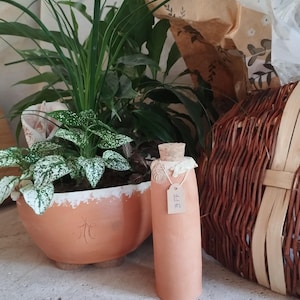 Op de afbeelding: Een terracotta-kleurige fles met een kurk en een klein label. De fles staat naast een grote, ronde terracotta pot met groene planten en een rieten mand. De pot heeft een wit en groene plant.