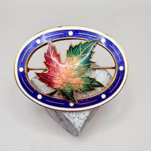 May include: An oval-shaped brooch with a blue and white enamel border. A colorful maple leaf is centered in the brooch, with shades of red, green, and yellow.