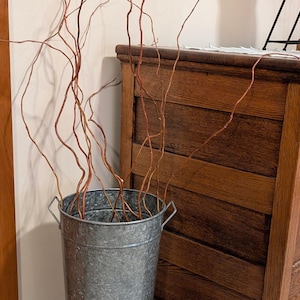 May include: A tall, cylindrical galvanized metal bucket with two side handles containing a bundle of long, thin, brown curly willow branches. The text 45" to 47" Bundle is printed in white on the front of the metal container.