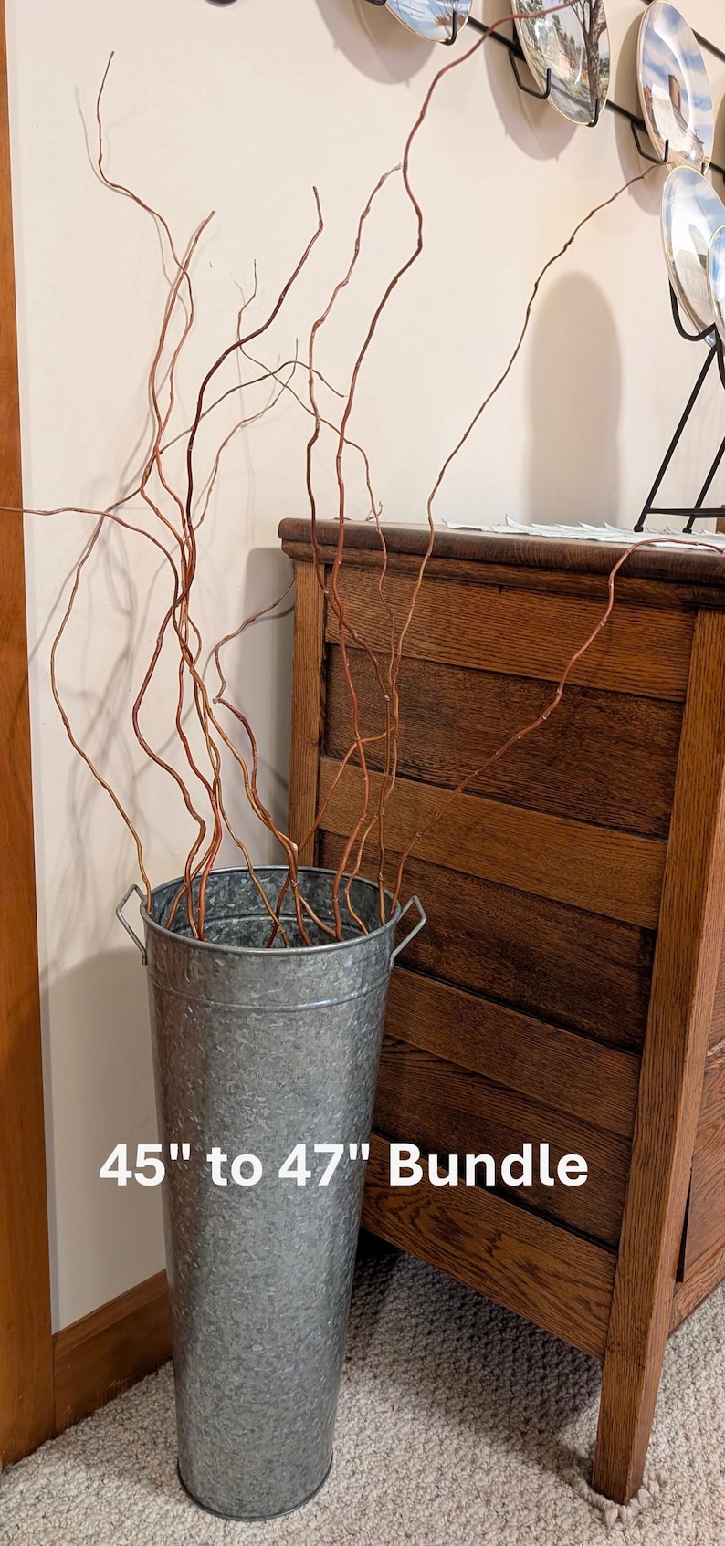 May include: A tall, cylindrical galvanized metal bucket with two side handles containing a bundle of long, thin, brown curly willow branches. The text 45" to 47" Bundle is printed in white on the front of the metal container.
