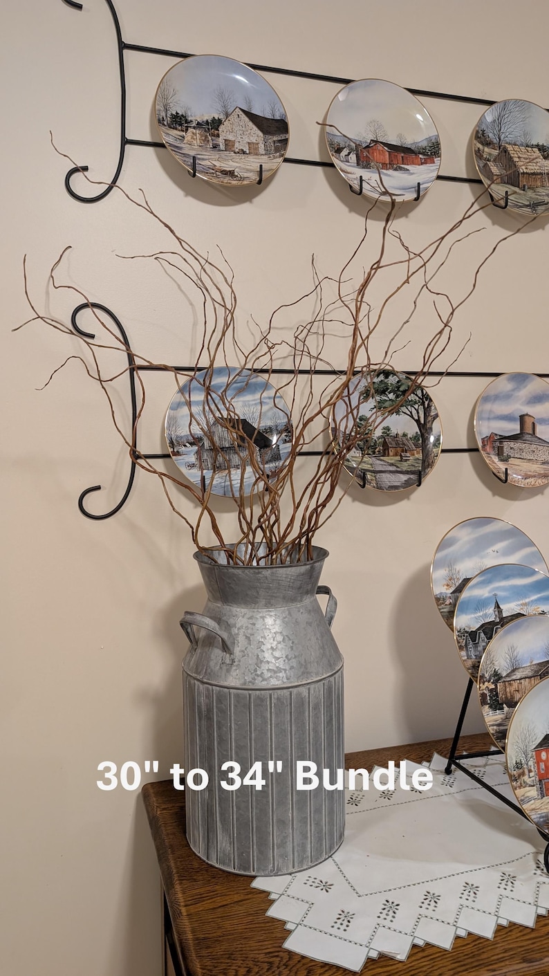 Dried Curly Willow, 2 Lengths: Natural and Rustic Decor, Kansas Farm Grown 30"-34", 20/Bundle