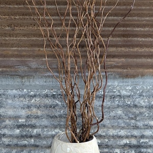 Dried Curly Willow, 2 Lengths: Natural and Rustic Decor, Kansas Farm Grown image 2