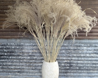 May include: A white ceramic vase with a subtle embossed floral pattern holds a large, dense arrangement of tall, dried beige ornamental grasses. The stems are thin and light-colored, fanning out into feathery, textured plumes at the top.