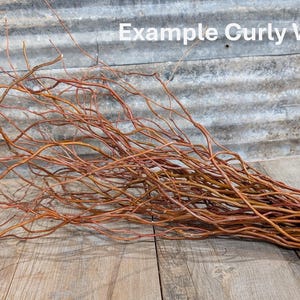 May include: A bundle of reddish-brown curly willow tops with twisted, slender branches tied together with a light-colored rubber band. The text "Example Curly Willow Tops" is visible in the upper right corner of the image.