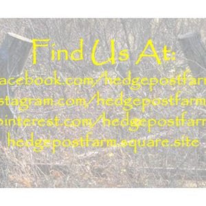 May include: A sign featuring yellow text that reads: Find Us At: facebook.com/hedgepostfarm, instagram.com/hedgepostfarmks, pinterest.com/hedgepostfarm, and hedgepostfarm.square.site, overlaid on a faded background of bare tree branches.