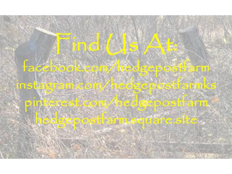 May include: A sign featuring yellow text that reads: Find Us At: facebook.com/hedgepostfarm, instagram.com/hedgepostfarmks, pinterest.com/hedgepostfarm, and hedgepostfarm.square.site, overlaid on a faded background of bare tree branches.