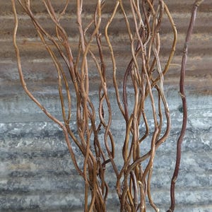 May include: A collection of slender, brown, twisted willow branches arranged upright in a cream-colored ceramic vase. The branches feature a natural, gnarled texture with thin, woody stems that curve and intertwine as they extend upward.