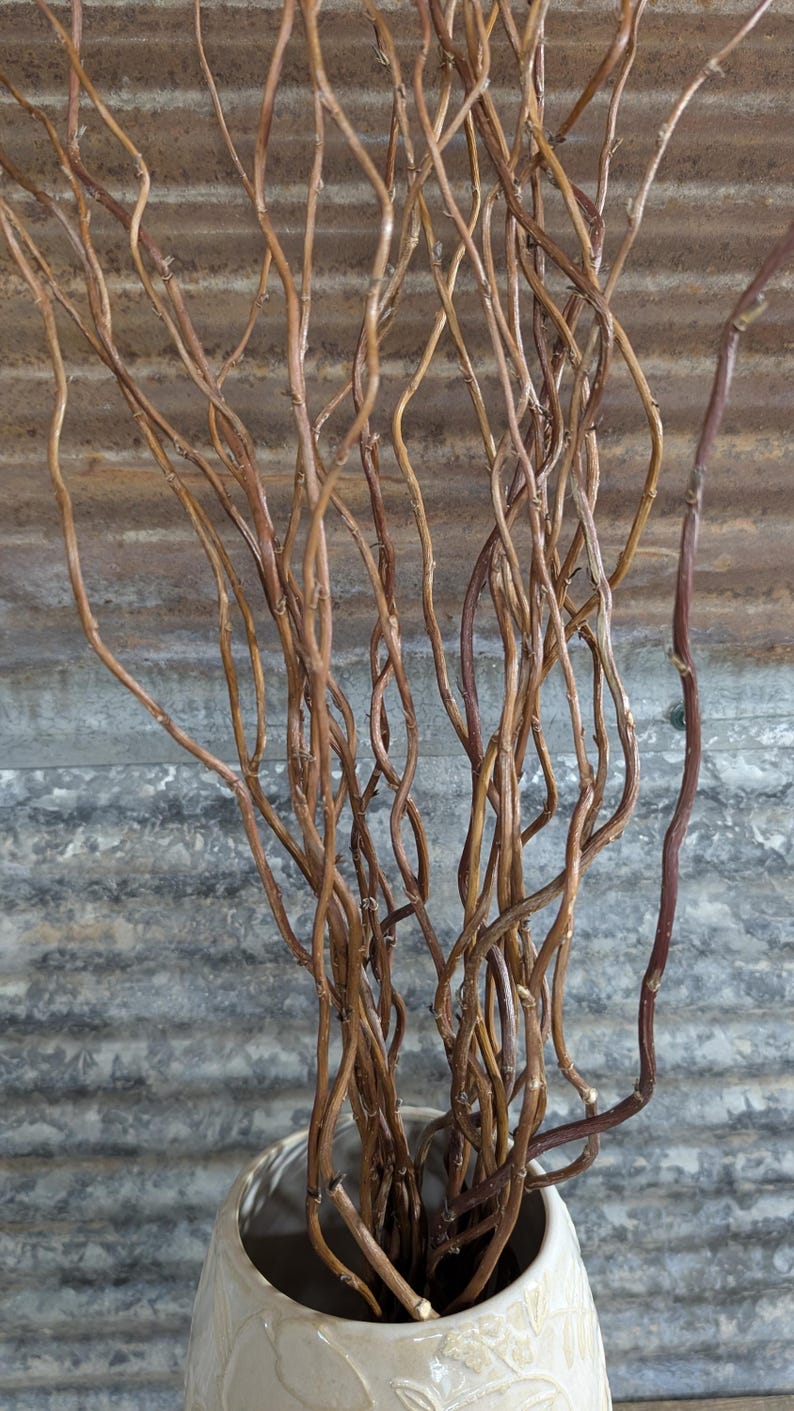 May include: A collection of slender, brown, twisted willow branches arranged upright in a cream-colored ceramic vase. The branches feature a natural, gnarled texture with thin, woody stems that curve and intertwine as they extend upward.