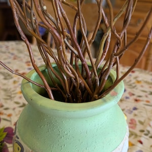 May include: A light green ceramic vase with a textured surface featuring painted ladybugs and butterflies, containing a cluster of thin, brown, twisted willow branches. The text "Beginning to Dry" is printed in white at the top of the image.