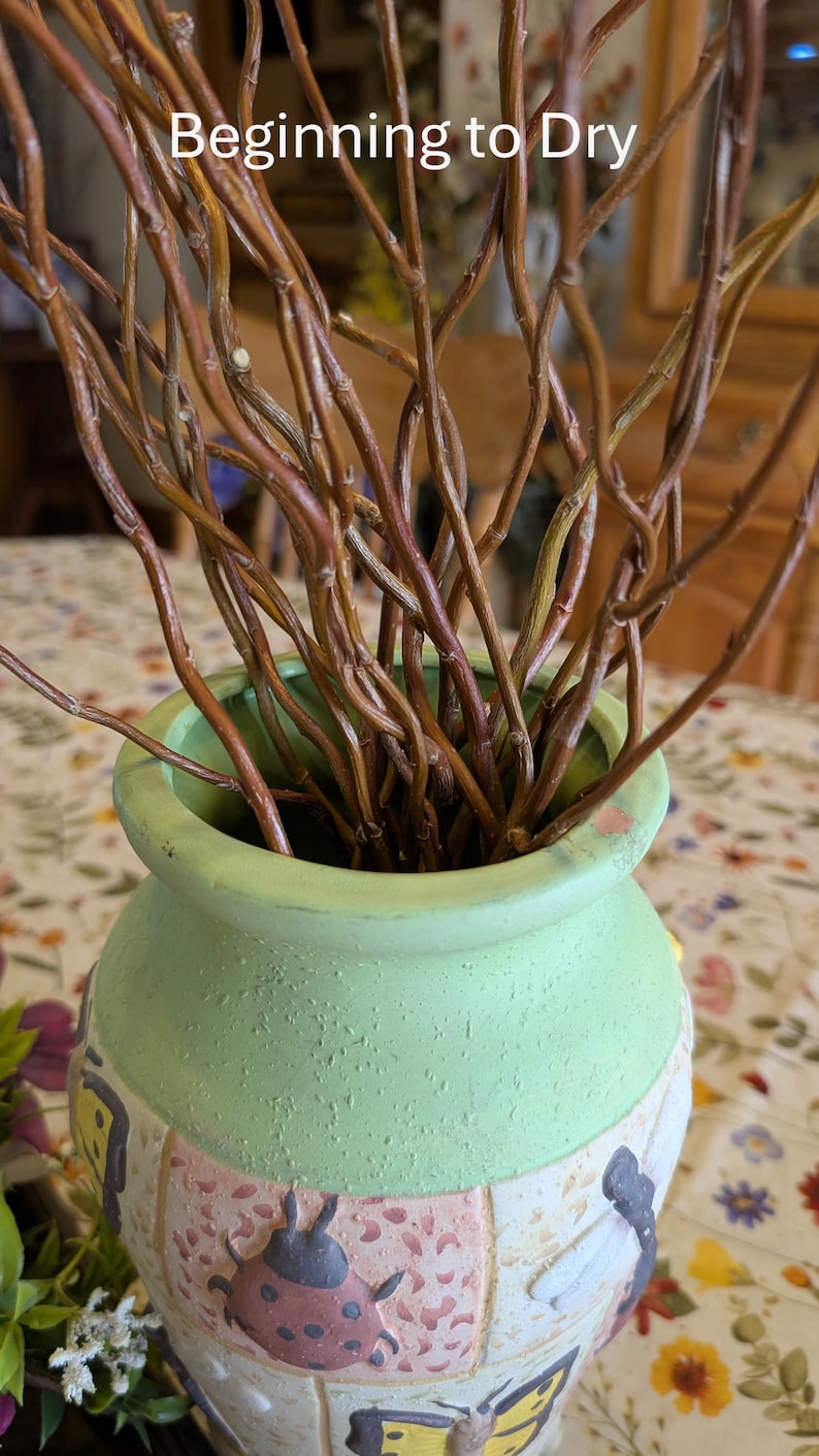 May include: A light green ceramic vase with a textured surface featuring painted ladybugs and butterflies, containing a cluster of thin, brown, twisted willow branches. The text "Beginning to Dry" is printed in white at the top of the image.