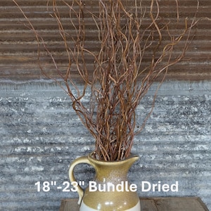 May include: A bundle of dried, twisted brown willow branches measuring 18-23 inches in length, displayed in a two-toned ceramic pitcher with a tan upper section and a white base. The text 18-23 Bundle Dried is visible on the image.