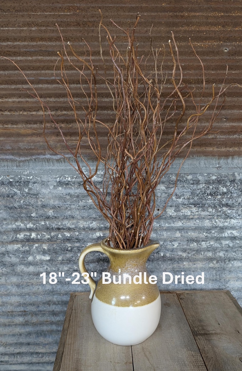 May include: A bundle of dried, twisted brown willow branches measuring 18-23 inches in length, displayed in a two-toned ceramic pitcher with a tan upper section and a white base. The text 18-23 Bundle Dried is visible on the image.