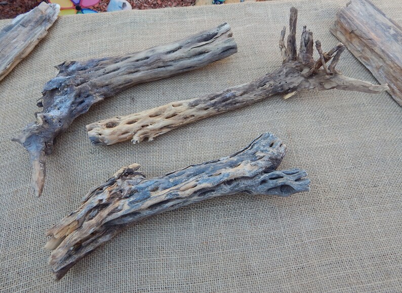 May include: Three pieces of dried cactus wood, with a rough, textured surface and a light brown color. The wood is arranged on a burlap background.