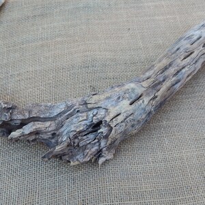 May include: A piece of driftwood with a natural, weathered finish. The wood has a light brown color and a rough, textured surface. It has a unique shape with a curved, branch-like form.
