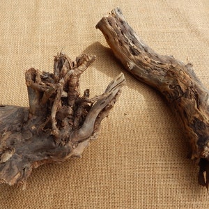 May include: Two pieces of driftwood, one with a gnarled, root-like structure and the other a long, curved branch, both with a natural brown and gray color.