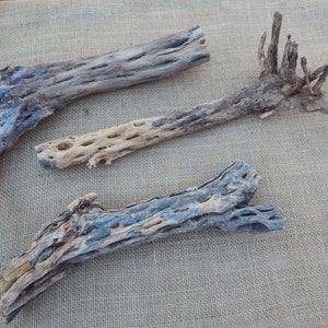May include: Three pieces of natural, dried, brown and gray cactus wood. The wood has a rough, textured surface and is perfect for crafting or decorating.