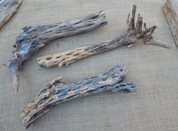 3 Unusual Xtra Long Xtra Thick & Sturdy Cholla Cactus Wood  /  NM Desert Cholla Wood Naturally Aged /  3 Pieces Cholla Cactus Wood / Natural