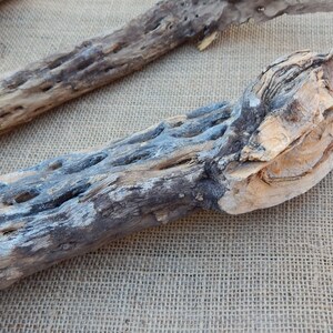 May include: Three pieces of weathered, gray and brown,  desert wood. The wood is gnarled and has a rough texture. The wood is arranged on a burlap background.