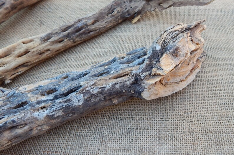 May include: Three pieces of weathered, gray and brown,  desert wood. The wood is gnarled and has a rough texture. The wood is arranged on a burlap background.