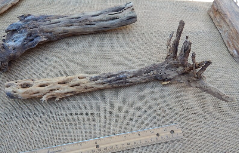 May include: Two pieces of natural, brown, and gray,  desert wood with a rough, textured surface. The wood has a unique, knobby, and branch-like shape. The wood is approximately 12 inches long.