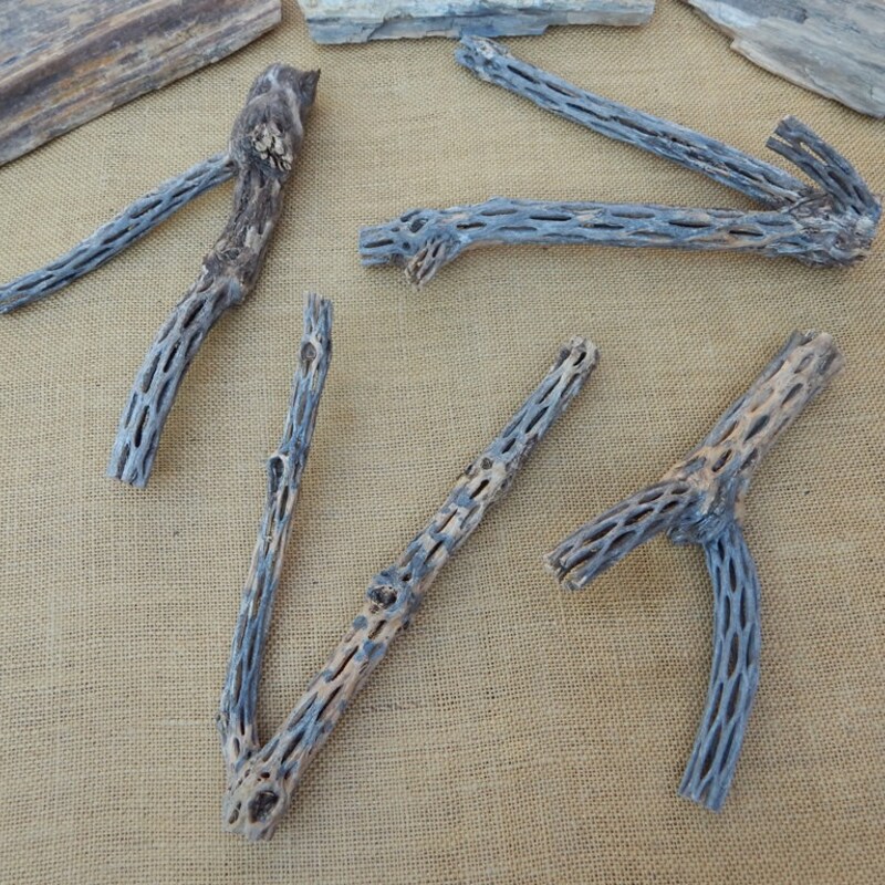 Cholla Wood - Etsy