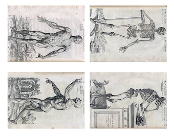 Instant Download ATC Vintage Human Anatomy Skeleton Muscles Study Collage Sheet  ACEO Backgrounds , Printables, PDF