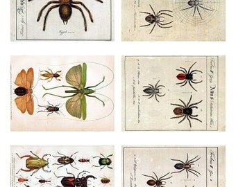 Digital Image ATC Vintage Entomology Collage Sheet  ACEO Backgrounds , Printables, Downloads, DigitalCollageSheets